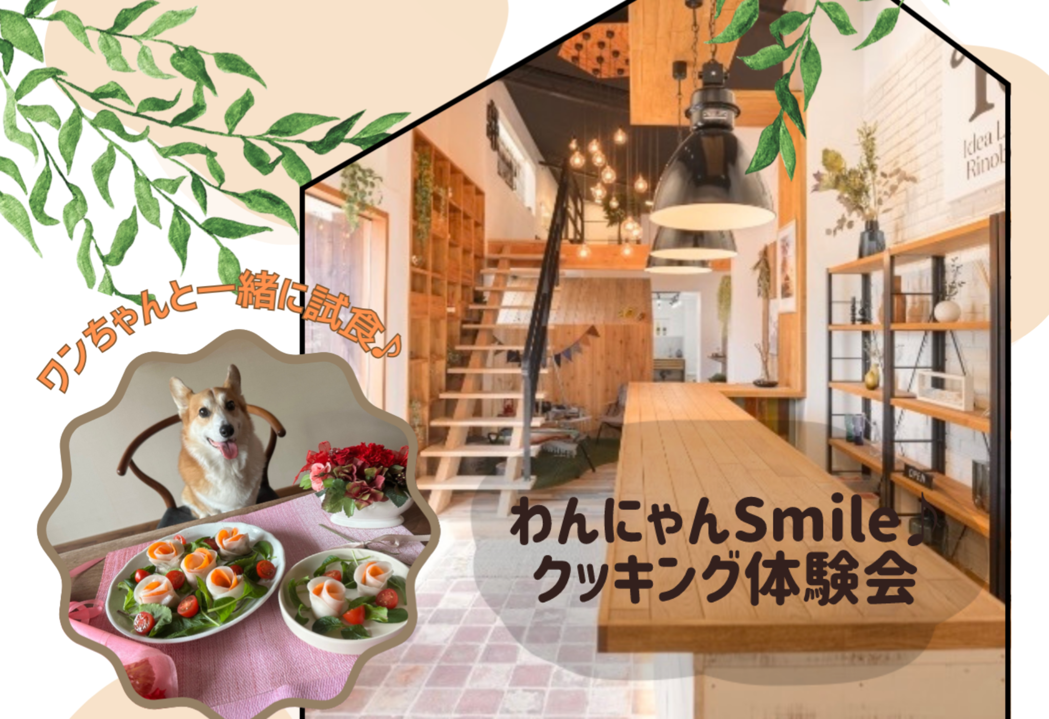わんにゃんSmile♪クッキング体験会｜参加無料・予約制 アイキャッチ画像